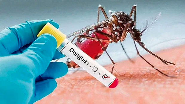 Health directorate fails to decrease dengue deaths